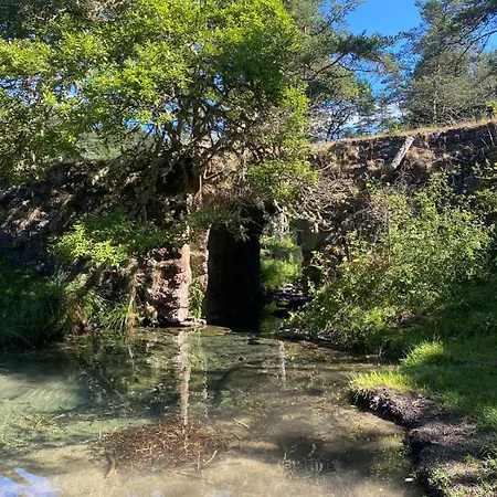 Appartement Casa Eden